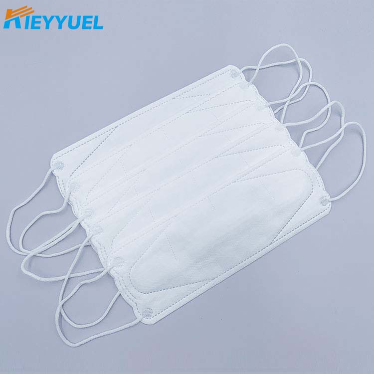 KF94 leaf Willow Protective larva